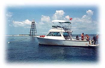 Many enjoy the waters of the Coral Reef. The Mooring Buoy Program helps insure our reefs will be around for thousands of years to come.