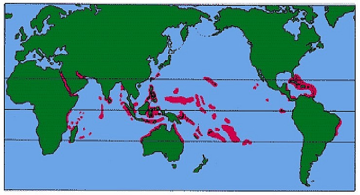 Coral Reef Areas in Trouble Worldwide