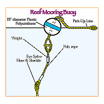 Reef Mooring Buoy Diagram showing the various parts.