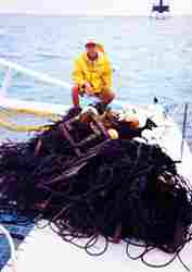 Old abandoned fishing net brought pulled out of water as debris.