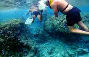 Even touching a reef, standing on them or worse, dropping anchor, will harm them. Look but don't touch!